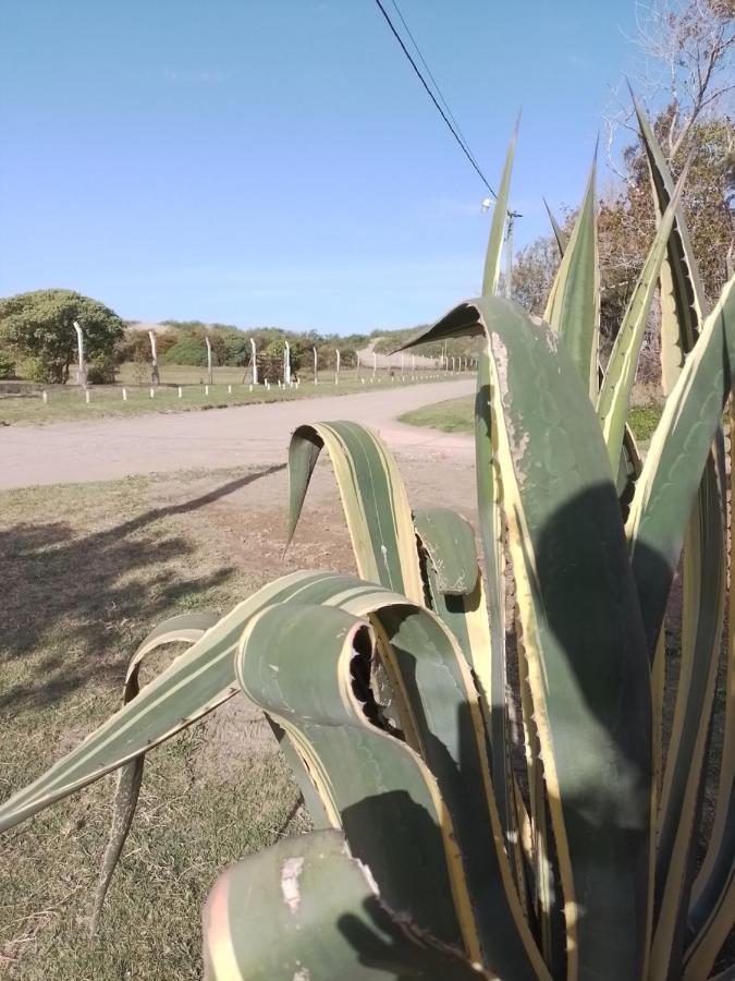 Alojamientos Frente Al Mar Complejo "El Estar De La Costa" 圣克莱门特雷图尤 外观 照片